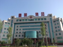 鲁丽集团有限公司